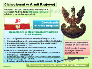 CC-prezentacja_57-300x225 CC-prezentacja_57