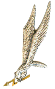 Grom-odznaka-185x300 Jednostka Wojskowa GROM