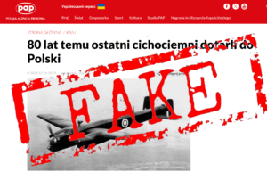 pap-fake-300x193 Informacja o realizacji projektu